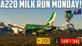 ✈️ A220 Milk Run Monday! | Sydney ➜ Melbourne | YSSY ➜ YMML ✈️