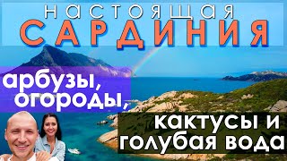 НАСТОЯЩАЯ САРДИНИЯ. АРБУЗЫ В ОГОРОДЕ. ЦЕНА ЗА УЧАСТОК. ПЛЯЖ С ИЗУМРУДНОЙ ВОДОЙ