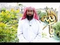 الحلقة 2 برنامج #يا_الله الشيخ نبيل العوضي  الرحمن الرحيم الملك ..