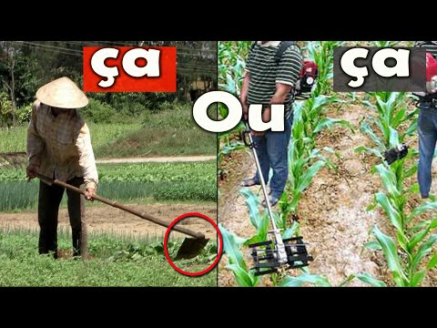 Vidéo: Quels pulvérisateurs de jardin peuvent être utilisés pour une petite ferme ?