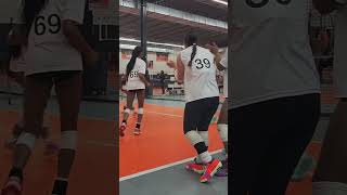 Prep Dig prior to the Sunshine Classic 2025 #volleyball #volleyballworld