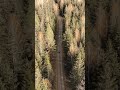 Weekend ride plans Bikers edition #bikershorts #motorcycle #bikerideing #offroad #forestride