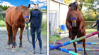 FREE JUMPING MY HORSE FOR THE FIRST TIME! (not what I was expecting!!)