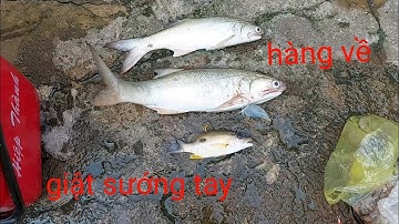 Câu cá biển Vũng Tàu - Cảng biển Lộc An #1