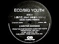 銭の花 (GOD HAND REMIX) - ECD feat. 四街道ネイチャー