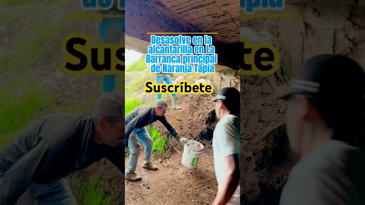 #faena #comunitaria en #naranjadetapia 22 de junio de 2025