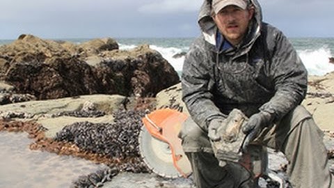 Unearthing Fossil Whales with Nick Pyenson