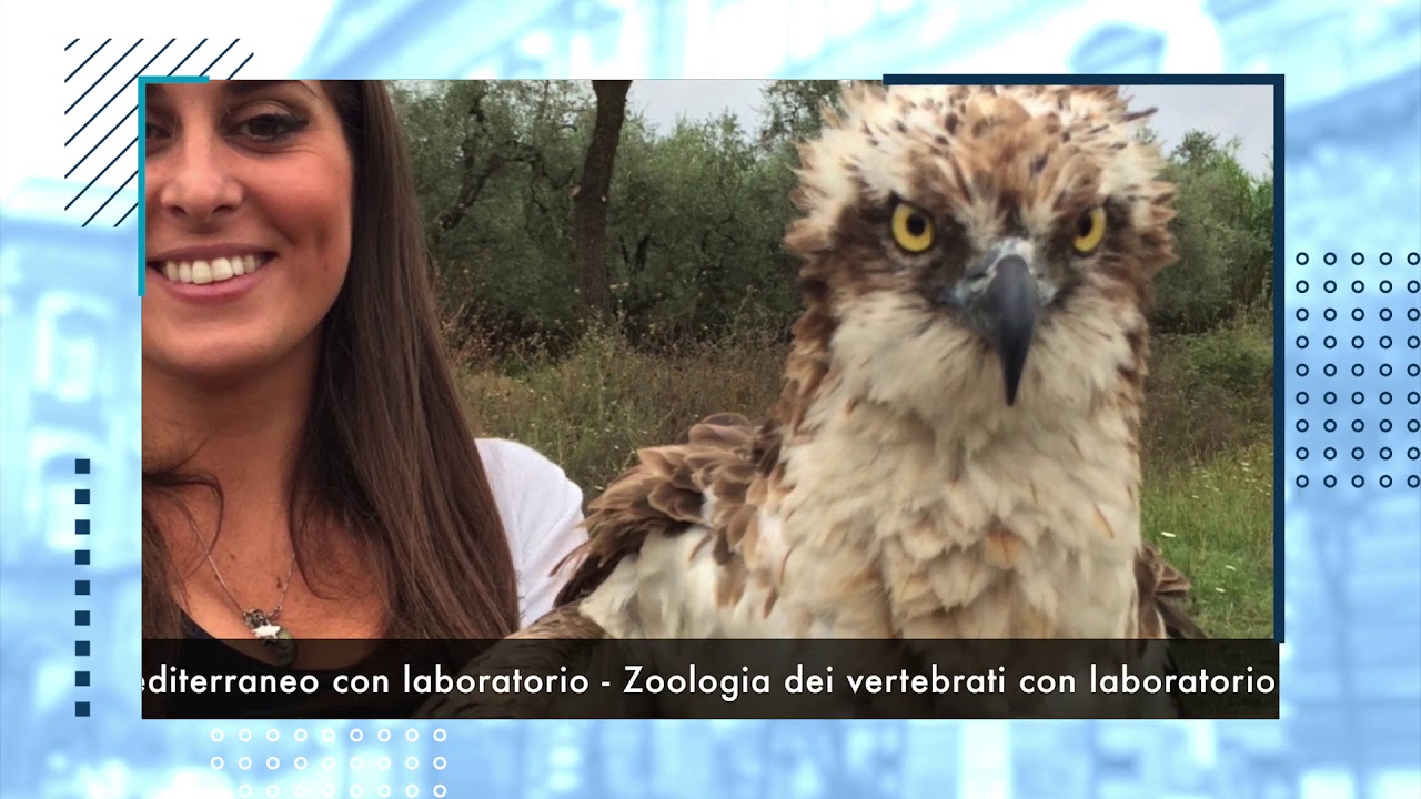 Corso di laurea magistrale in Scienze Naturali - YouTube