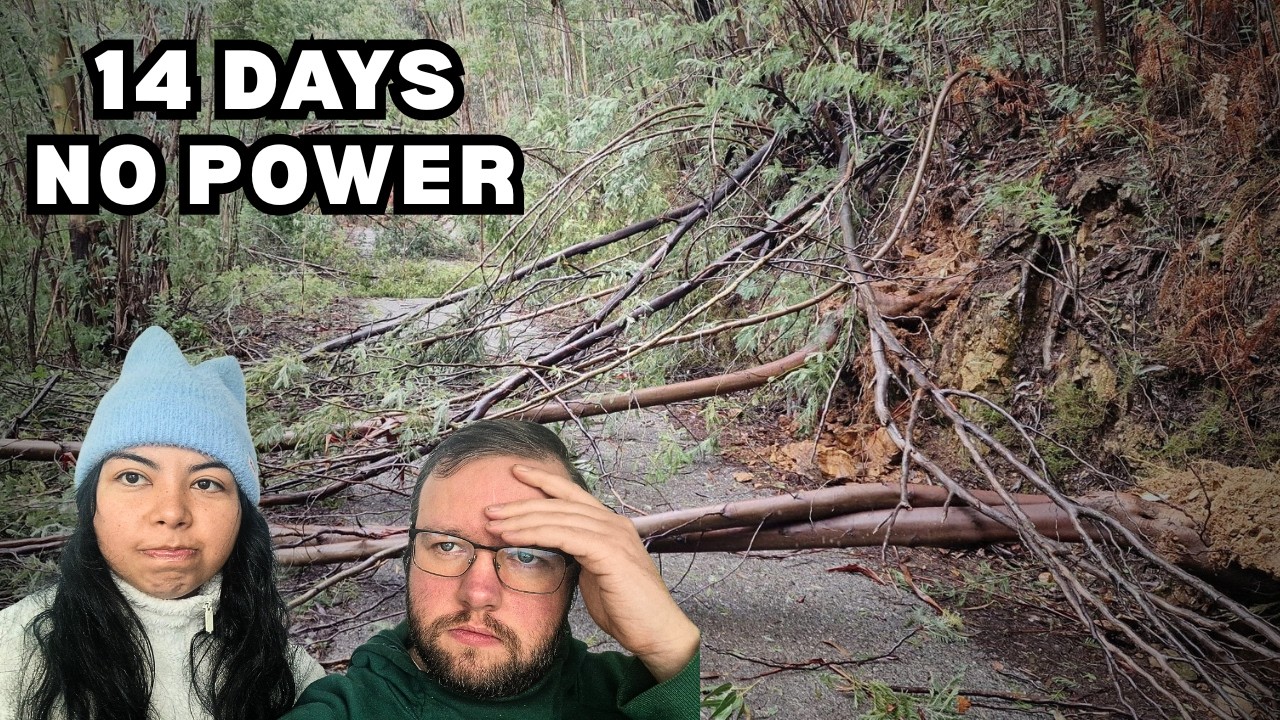 Мы пережили 14 дней без электричества после шторма «Кристен».