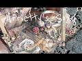 【歌ってみた/Cover】Arrietty's Song/Cecile Corbel【 Covered by #さざなみセレナ Vtuber VSinger ✨CH1万人記念✨】