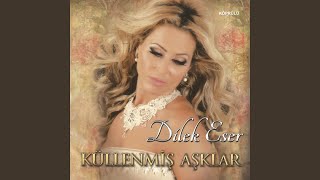 Yaşanmış Yıllar