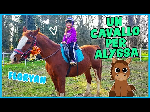 Video: Un cavallo zoppo dovrebbe essere messo in stalla?