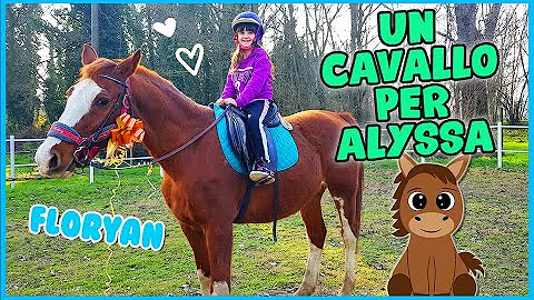 Come si chiamano le ragazze che vanno a cavallo?