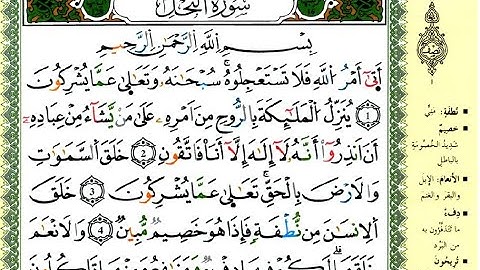 سورة النحل للقارئ ياسين الجزائري برواية ورش