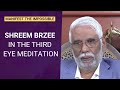 Shreem Brzee In The Third Eye Meditation: Manifest The Impossible