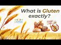 Dr gautam jani reveals hidden truths about gluten  must watch
