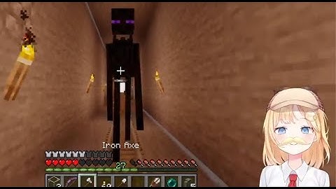 BEING CHASED BY AN ENDERMAN IS ALWAYS STRESSFUL