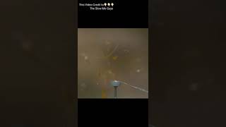 मुर्गी_के_अंडे_में_जब_गोली_मारी_तो_देखो_क्या_हुआ_😱😱 #egg #chicken #shorts #shortvideo #viral