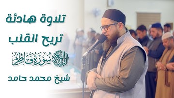 تلاوة هادئة تريح القلب " ماتيسر من سورة فاطر " الشيخ محمد حامد 