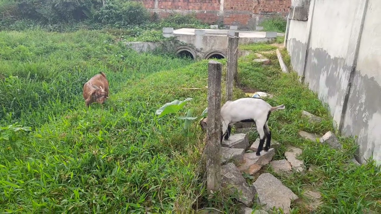 Tá parecendo que vai chover aqui em Pernambuco