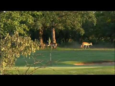 Video Hans Merensky Golf Hotel & Spa in Krugerpark Zuid-Afrika 2