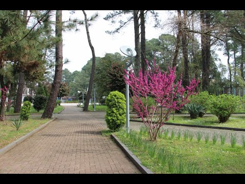 01 04 2020 КОБУЛЕТИ ЦВЕТЕТ И БЛАГОУХАЕТ Весна Аджария Грузия