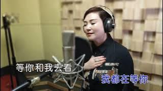 静静【来与不来我都在等你 】原版MV-KTV