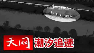 《天网》侦查员潜伏长江滩涂静待收网 行动前夕却遇上始料未及的变故？20260922