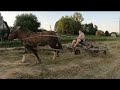 КОБИЛА ВОГОНЬ 🔥/ОБЕРТАЄМО,ГРАБАЄМО,ТЮКУЄМО СІНА/Коні Ваговози/horses in Ukraine