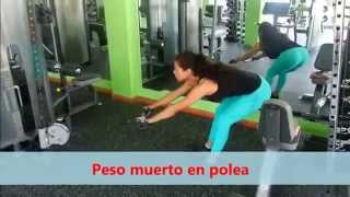 ENTRENAMIENTO -  MULTIESTACION - IT9327 - IMPULSE