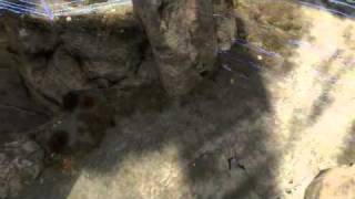 halo reach plasma grenade fail