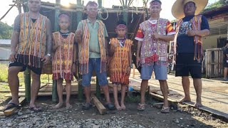 Pengawa ngagak rumah/Langkau Babi kena Sandau Ari Ng.pangai Ulu Ibau Kapit. #highlights#youtube