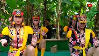 PAMBUKANE‼️Bidadari Cantik Menari Nari|Ndolalak Purworejo Terbaru 2023