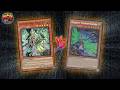 Vanquish Soul K9 VS Radiant Typhoon | Yu-Gi-Oh! TCG Live Locals Feature Match