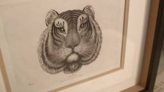 618VZ EVV V004 H264 2