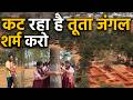 Chhattisgarh Raipur City में  Tuta Forest Jungle सिर्फ Raipur Film City  के नाम पर कट रहा है