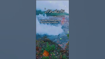 قرآن كريم تلاوة هادئة ارح سمعك #اكسبلور #quran #اسلاميات #المصحفeraldossary #duet #قرآن #راحة_نفسية