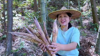 Whip bamboo shoots,the most delicious bamboo shoots,fresh and delicious