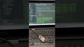 Practica 4 RTOS // race condition demo with semaphore
