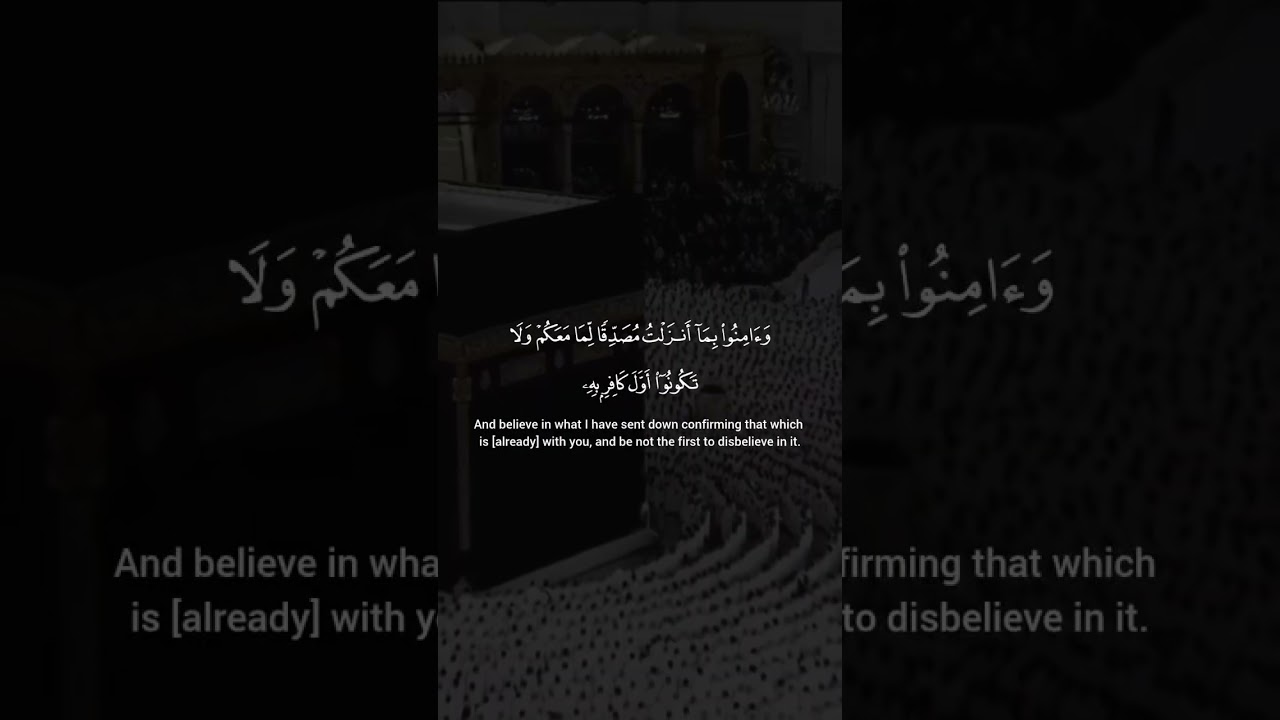 #islam #Quran#shorts #القرآن_الكريم #الاستغفار #الاسلام