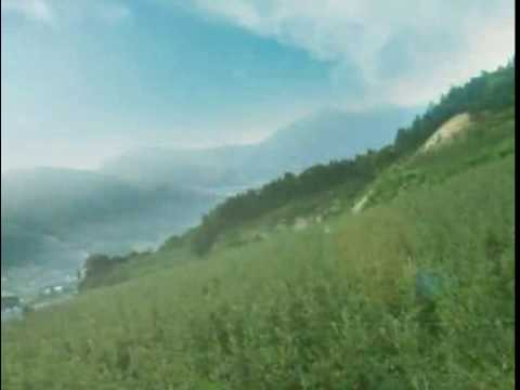 거창사과cf