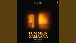 TUM MEIN ZAMAANA (feat. Ronnik)