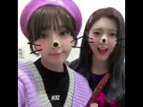 콰이 , 다이아 애교