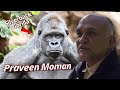 Gorilla Trekking in Rwanda with Visionary Conservationist Praveen Moman | Armchair Explorer