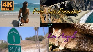 The California Pacific Coast Highway #bigsur #californiatravel by the Travel Guide Channel  4,331 views 10 months ago 10 minutes, 59 seconds