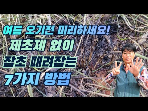 농약 없이 잡초 제거, 초보도 가능한 7가지 방법!