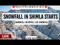 Snowfall in shimla starts again | live snowfall | shimla snowfall today