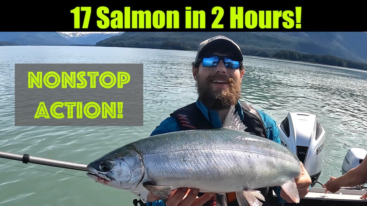 17 Salmon in 2 Hours! Alaskan Salmon Fishing Juneau, Alaska! JULY 2023 alaskalife bigfish