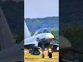 Rafale or Typhoon The True Beast Revealed 🛩️ #shorts