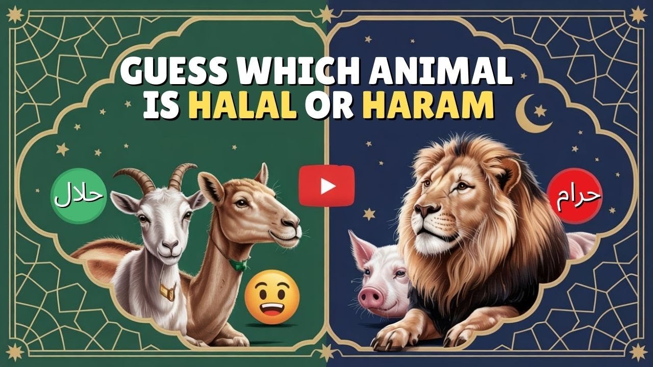 🐑 Halal vs Haram Animals Quiz 🐷 | Boost Your Muslim IQ with This Fun Islamic Challenge! 🌙🧠